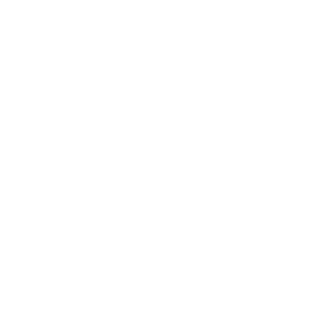 FFG logo